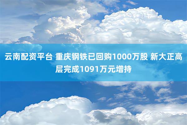 云南配资平台 重庆钢铁已回购1000万股 新大正高层完成1091万元增持