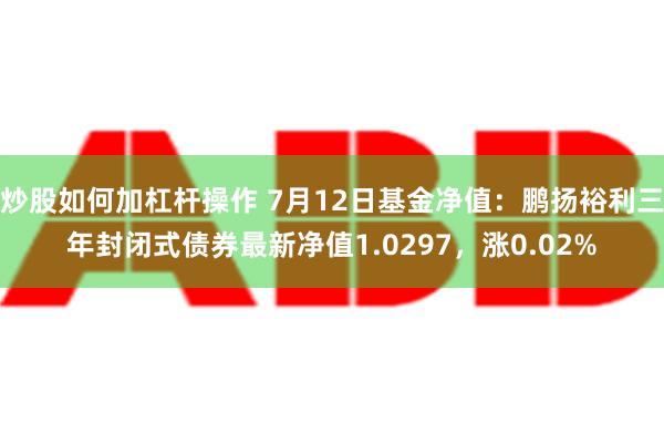 炒股如何加杠杆操作 7月12日基金净值：鹏扬裕利三年封闭式债券最新净值1.0297，涨0.02%