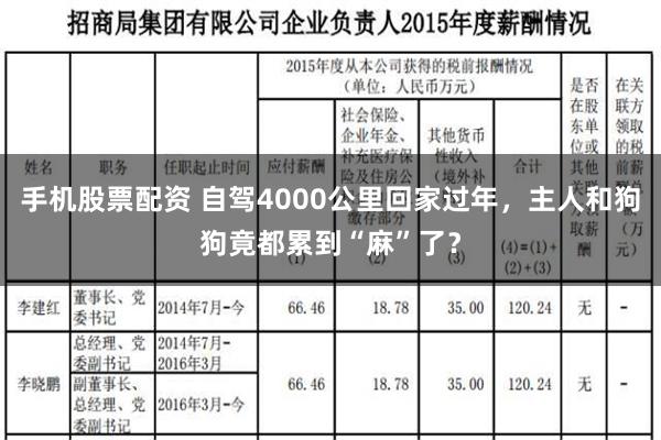 手机股票配资 自驾4000公里回家过年，主人和狗狗竟都累到“麻”了？